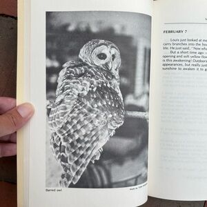 No More Pets First Printing Animal Shelter Adopt A Pet Nature Strays Cat Lady